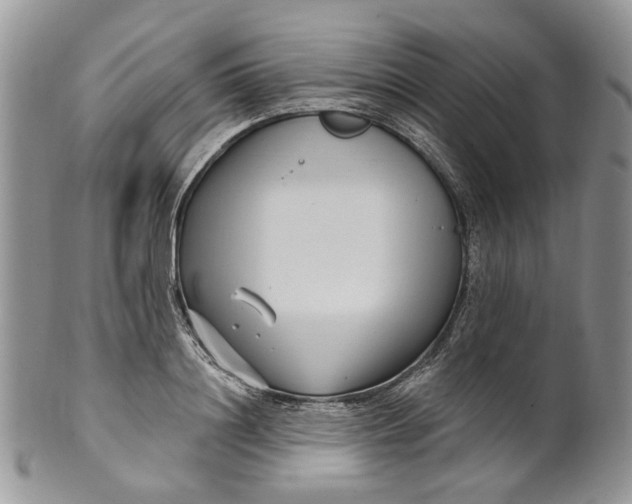 X0000099960844200806131508