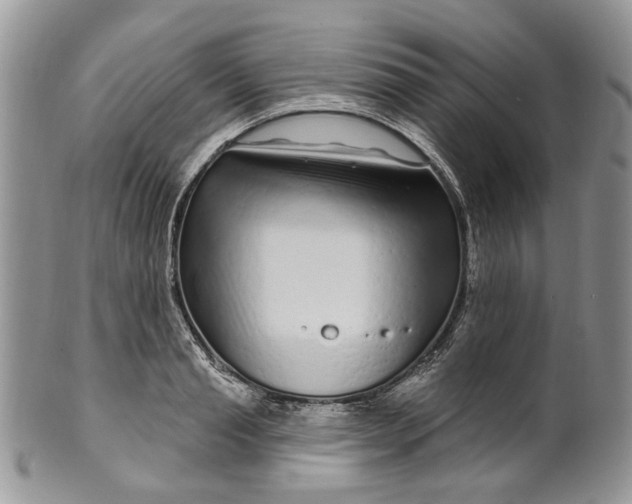 X0000099960845200806131508