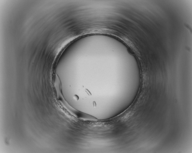 X0000099960846200806131508