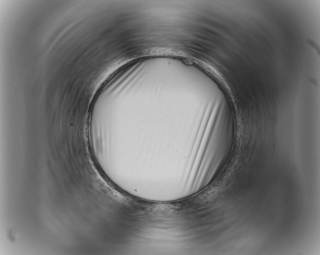 X0000099960847200806131508