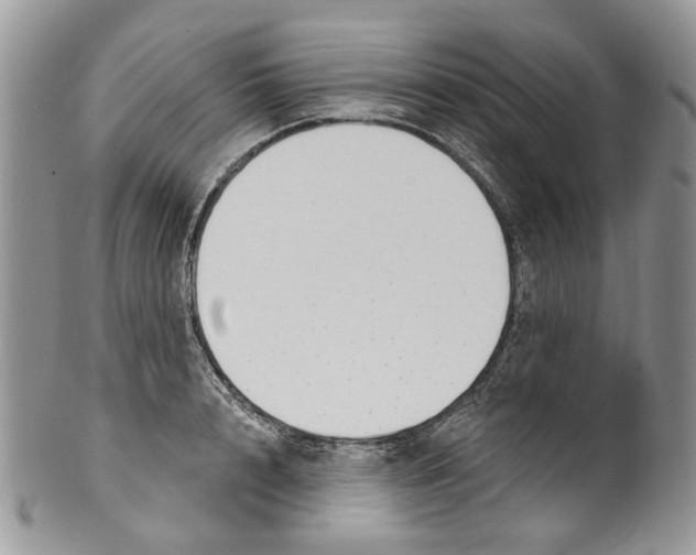 X0000099960848200806131508