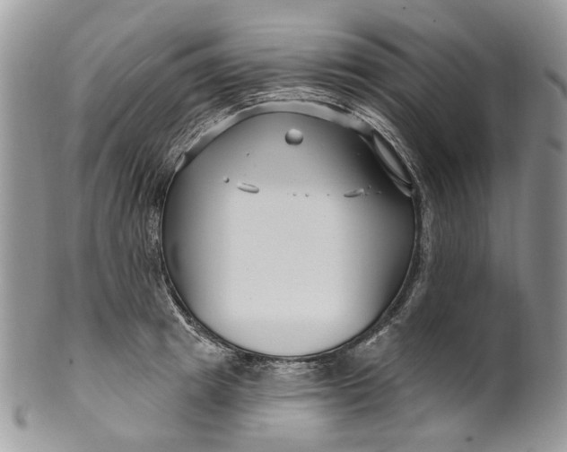 X0000099960849200806131508