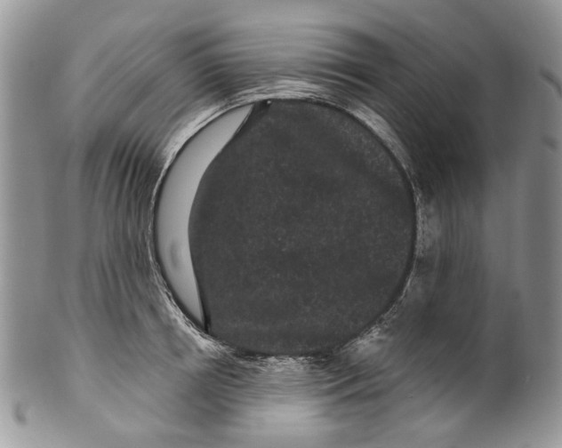 X0000099960850200806131508