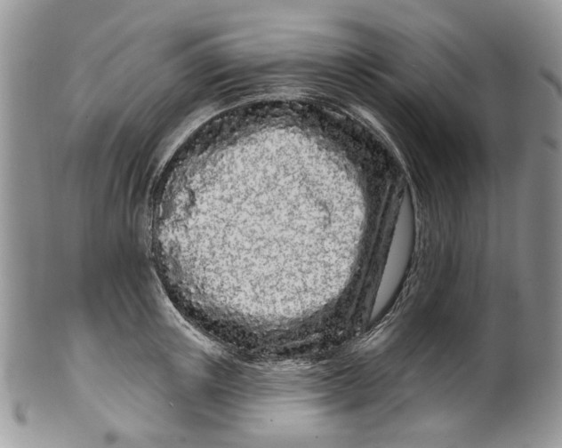 X0000099960851200806131508