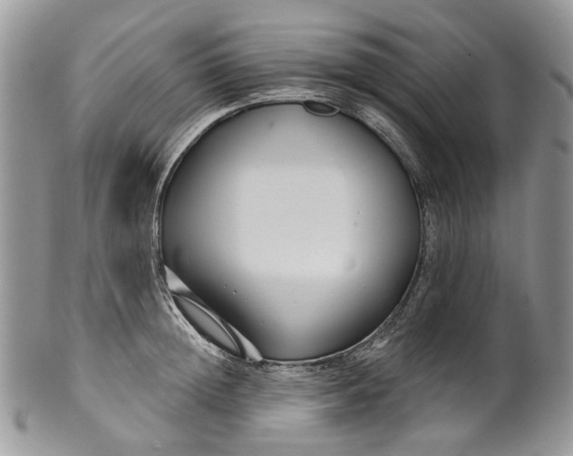 X0000099960852200806131508