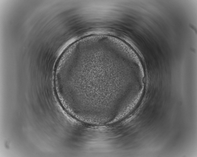 X0000099960853200806131508