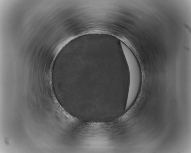 X0000099960854200806131508