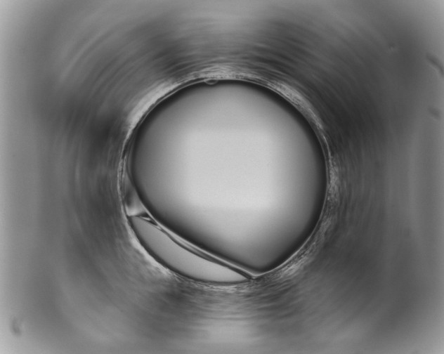 X0000099960855200806131508