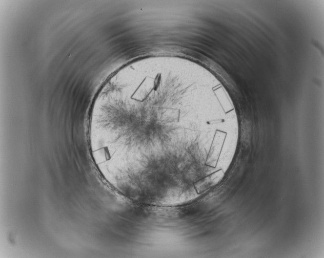 X0000099960856200806131508