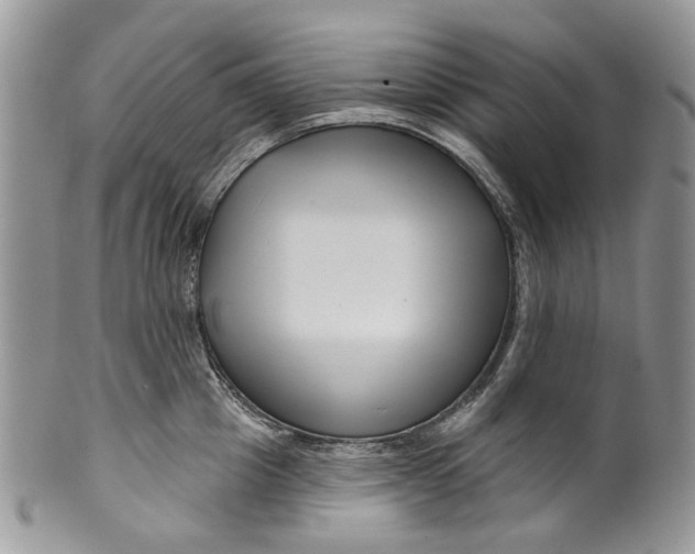 X0000099960857200806131508