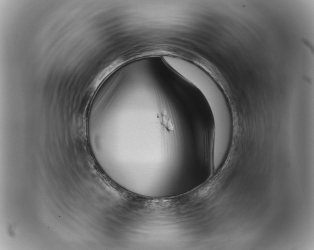 X0000099960858200806131508