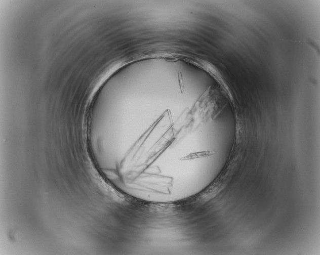 X0000099960859200806131508