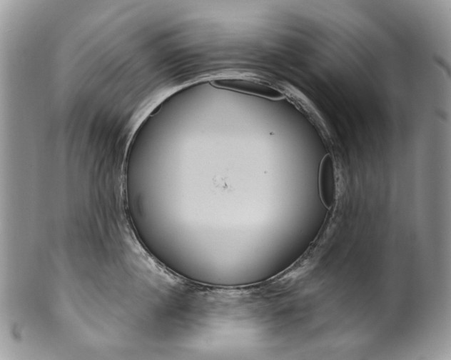 X0000099960860200806131508