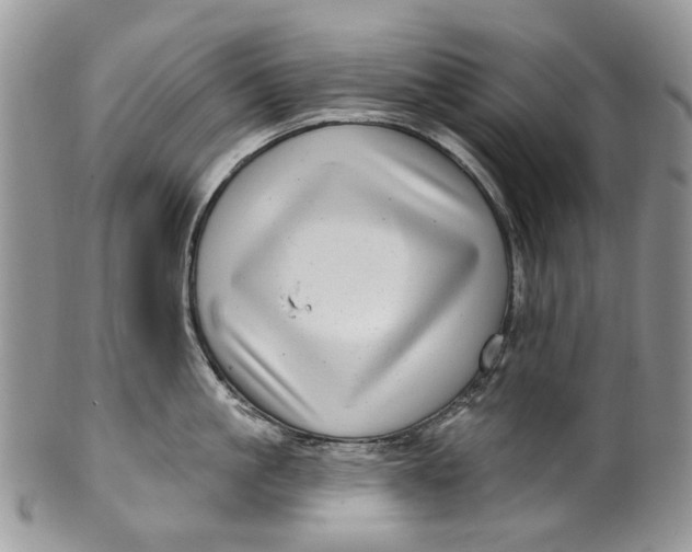 X0000099960861200806131508