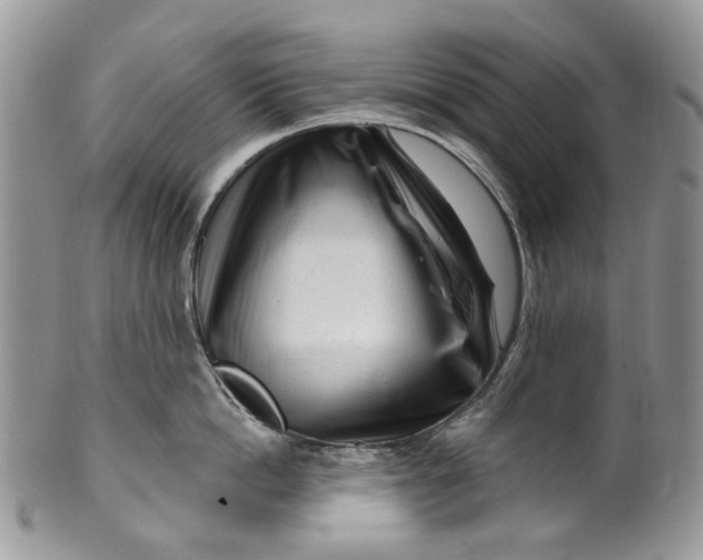 X0000099960862200806131508