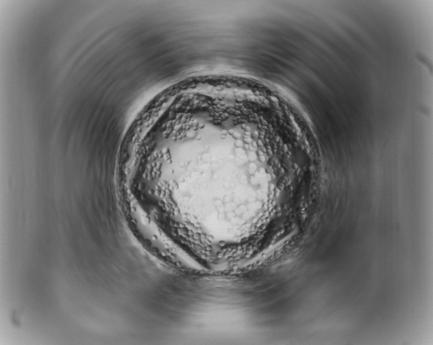 X0000099960863200806131508