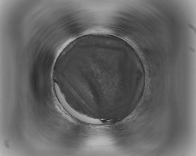 X0000099960864200806131508