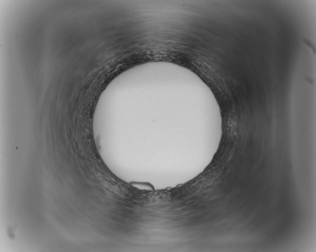 X0000099960865200806131508