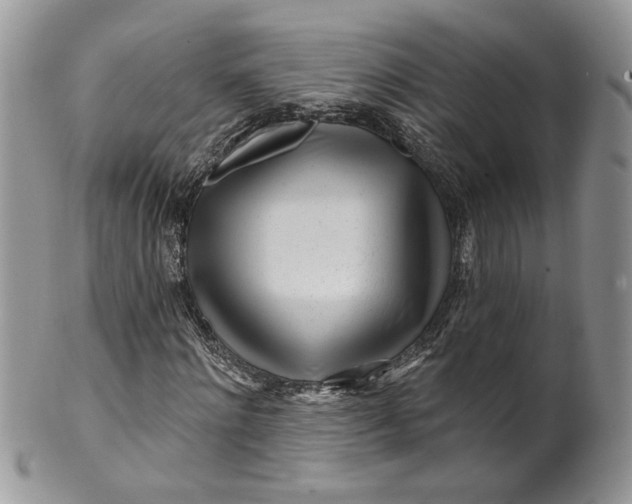 X0000099960868200806131508