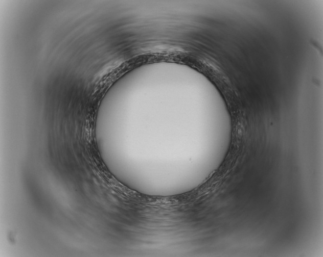 X0000099960869200806131508