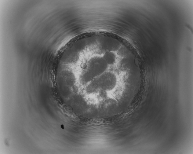 X0000099960871200806131508