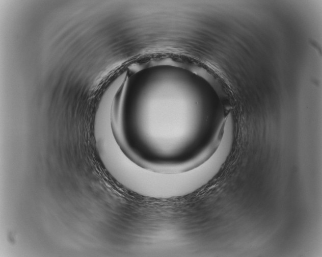 X0000099960872200806131508