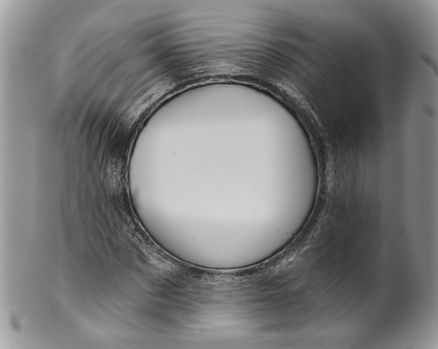 X0000099960873200806131508