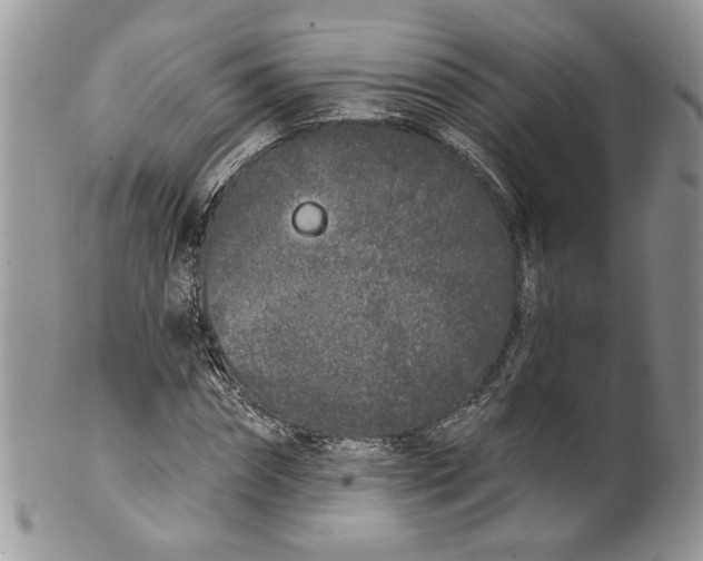 X0000099960874200806131508