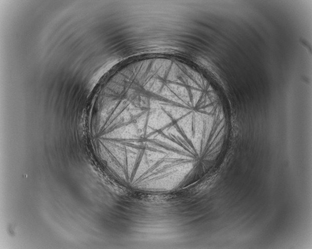 X0000099960875200806131508