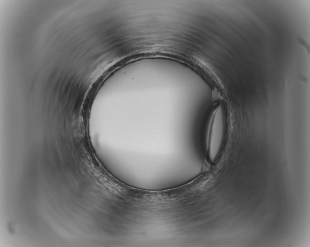 X0000099960876200806131508