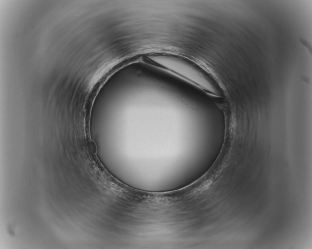 X0000099960877200806131508