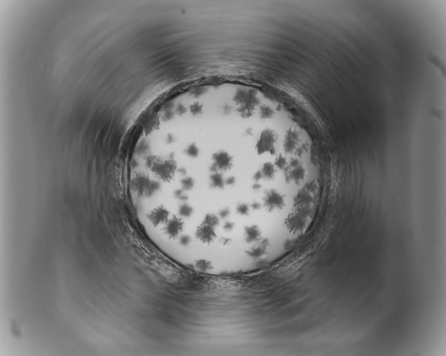 X0000099960878200806131508