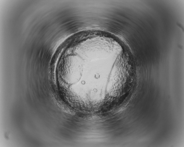 X0000099960879200806131508