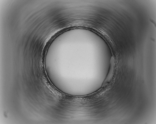 X0000099960880200806131508