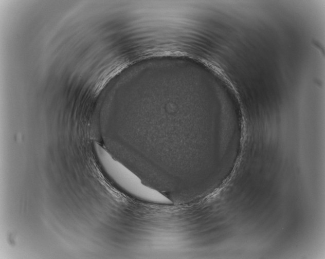 X0000099960881200806131508