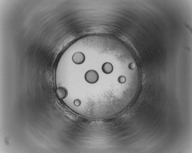 X0000099960882200806131508