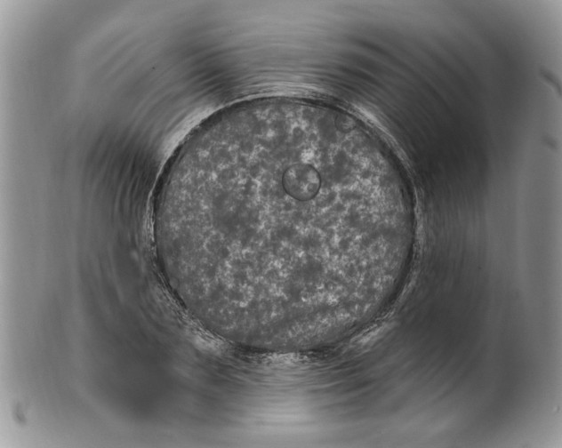 X0000099960883200806131507