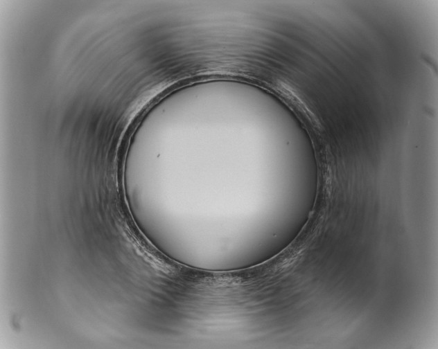 X0000099960884200806131507