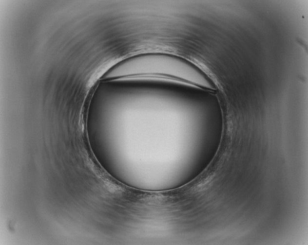 X0000099960885200806131507