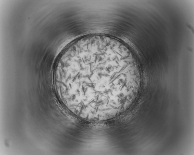 X0000099960886200806131507