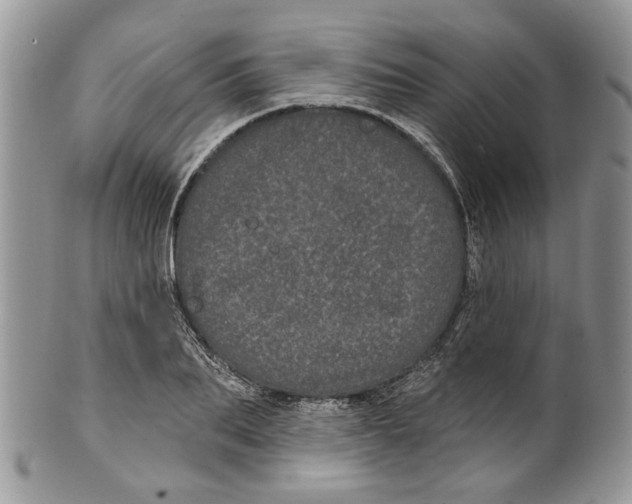 X0000099960887200806131507