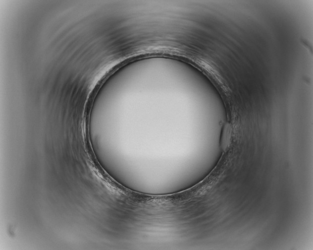 X0000099960888200806131507