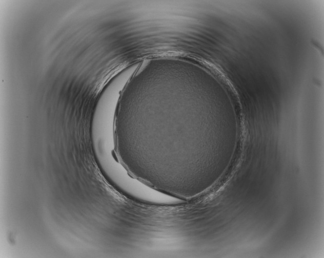 X0000099960889200806131507