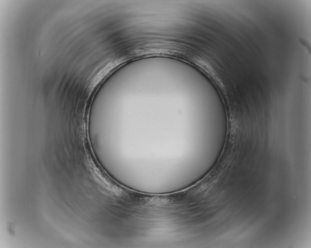 X0000099960890200806131507