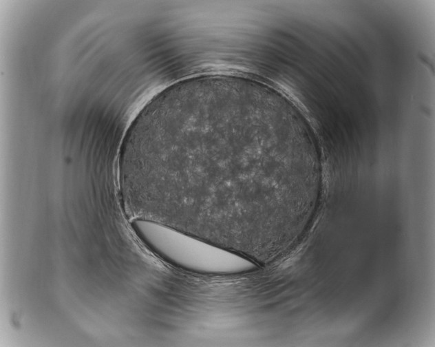 X0000099960891200806131507