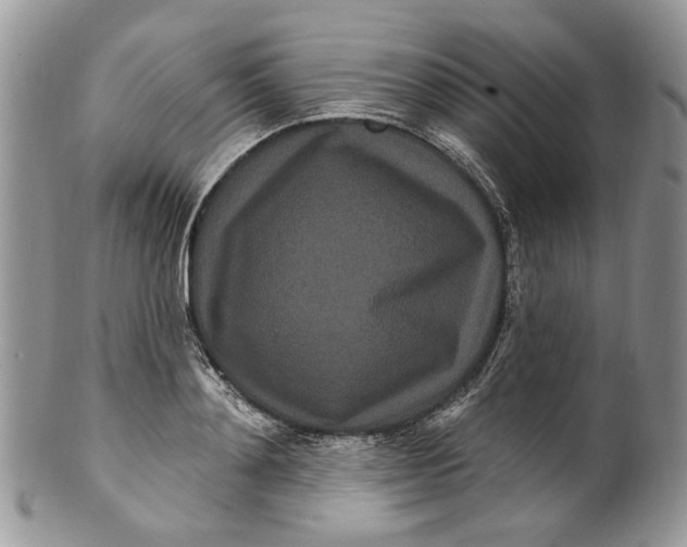 X0000099960892200806131507