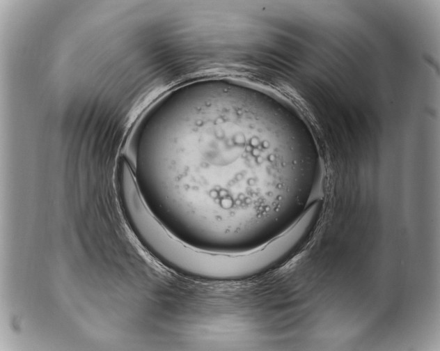 X0000099960893200806131507