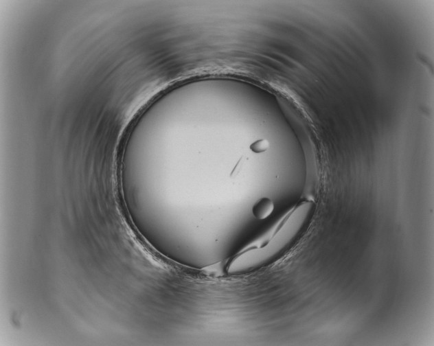 X0000099960894200806131507