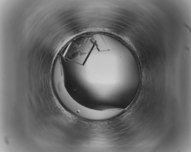 X0000099960895200806131507