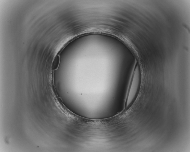 X0000099960896200806131507